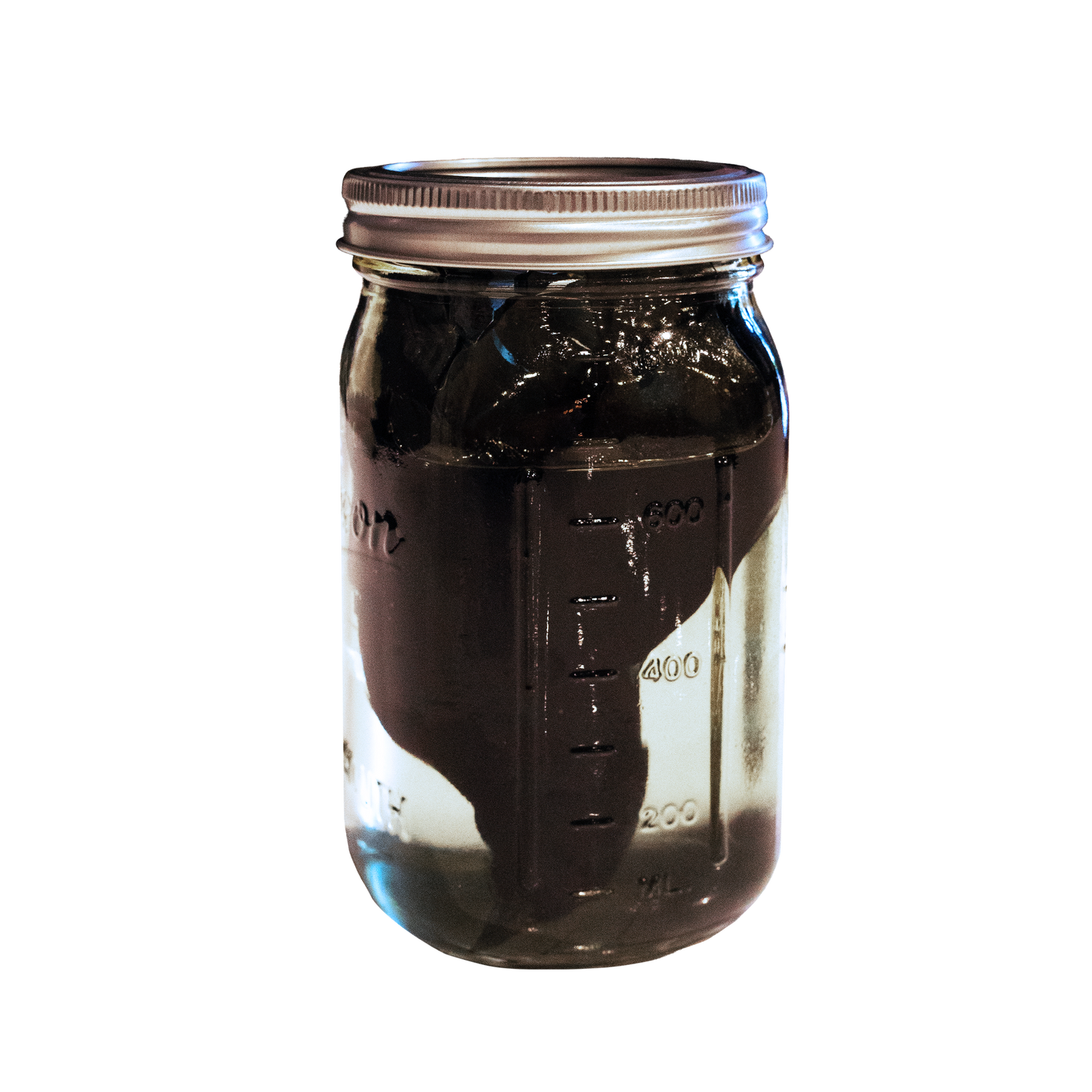 Crow Jar - Sold Out